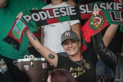 PodlesiankaZaglebie-188