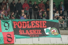 PodlesiankaZaglebie-68