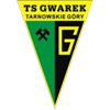 Gwarek Tarnowskie G.