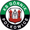 Górnik Polkowice