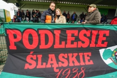 PodlesiankaGoczalkowice-49