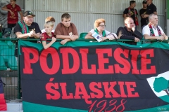 PodlesiankaOdra-301