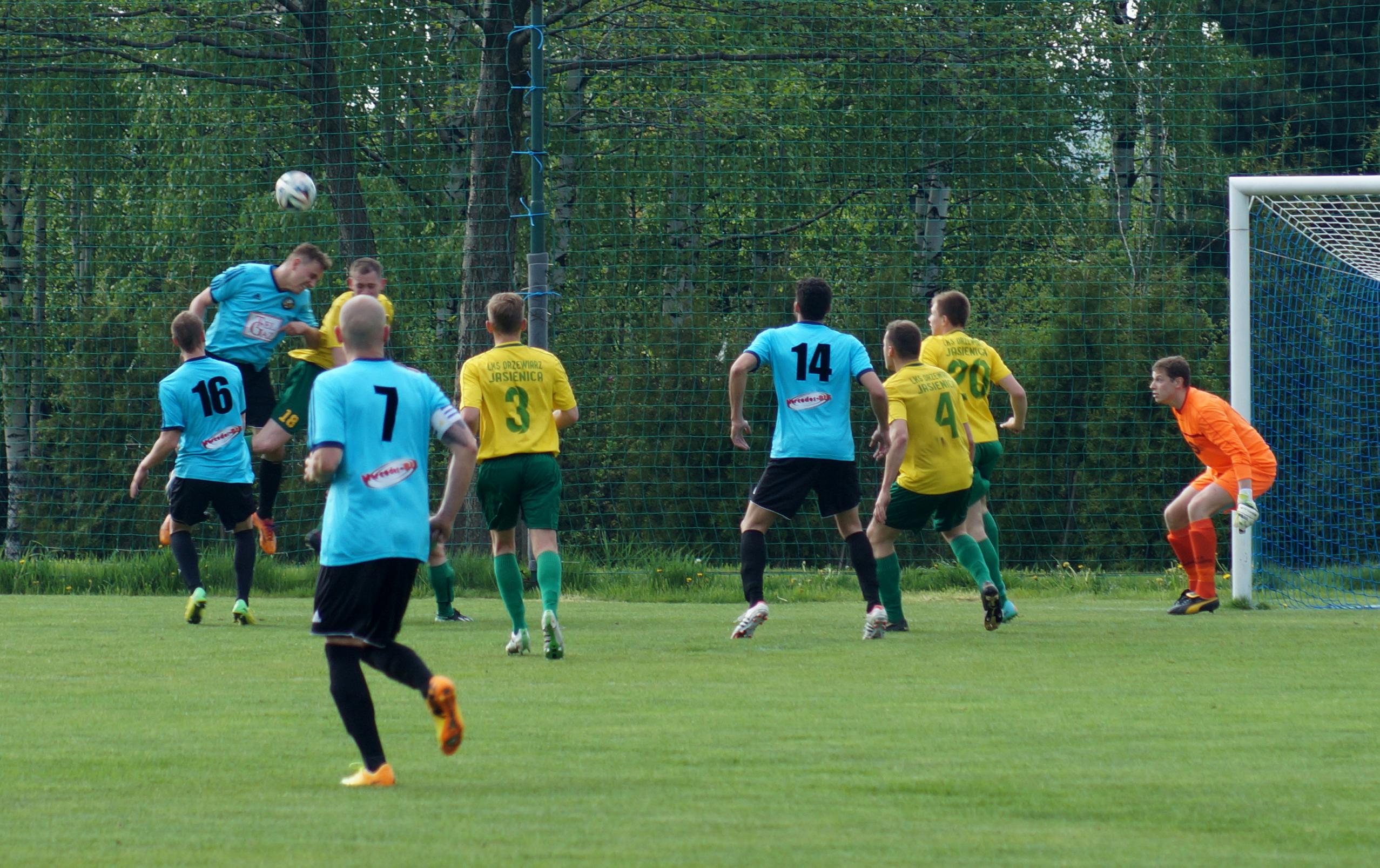 Drzewiarz Jasienica – Podlesianka 1-1